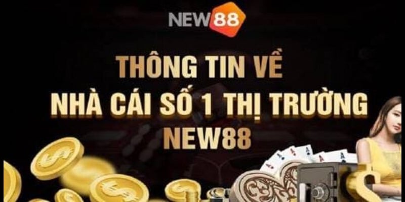Tong quan ve nha cai New88