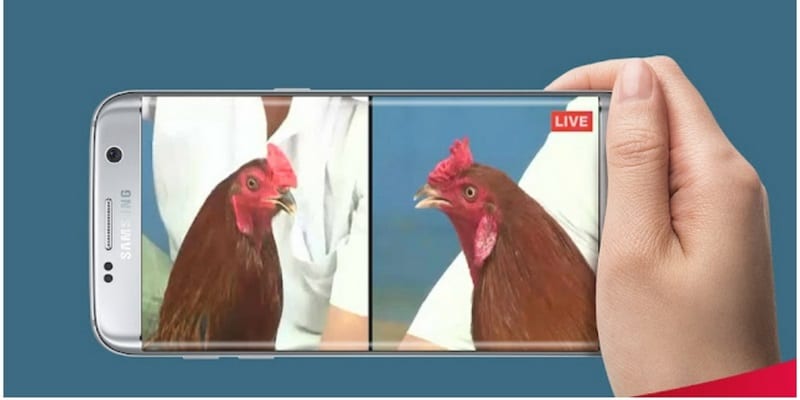 app da ga truc tiep la gi