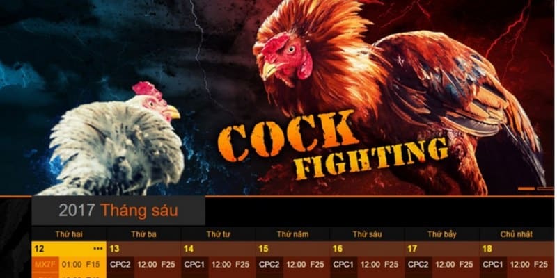 luu y tai app da ga truc tiep