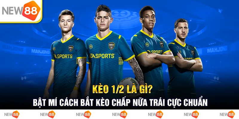 Kèo 1/2 là gì? Bật mí cách bắt kèo chấp nửa trái cực chuẩn 7 Cược chấp 3 chiều bóng đá: mách bạn cách cược 100% WIN