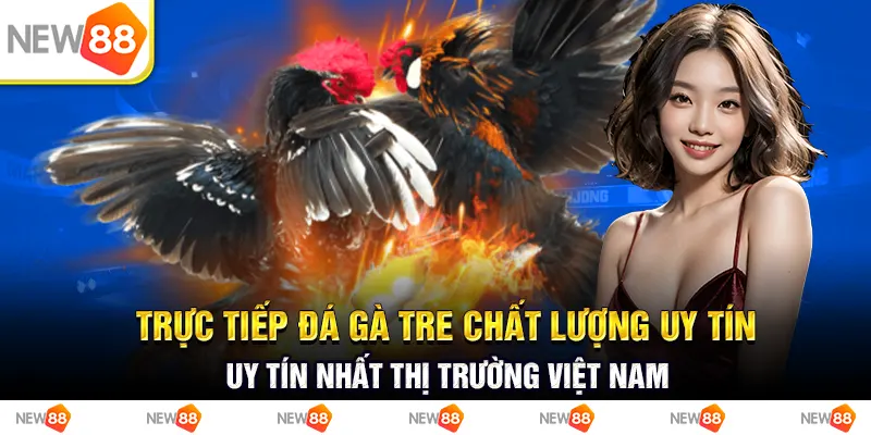 Trực tiếp đá gà tre chất lượng uy tín nhất thị trường việt nam
