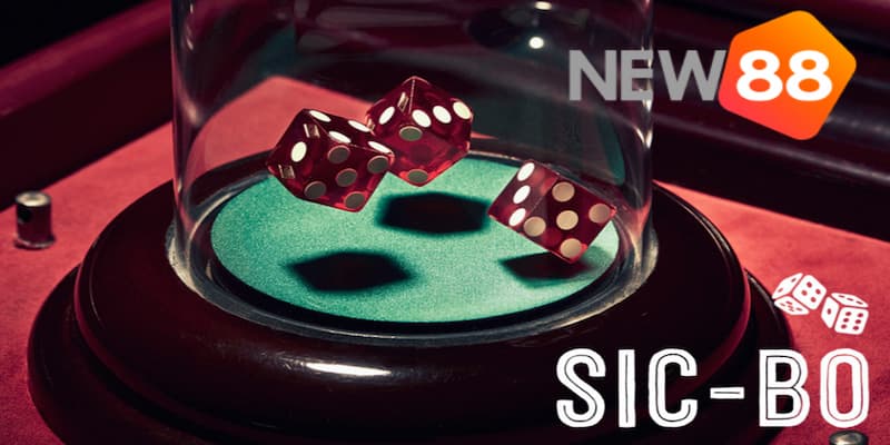 Cách chơi sicbo hiệu quả luôn thắng lớn dành cho anh em 4 Một số cách chơi sicbo hiệu quả khác hấp dẫn