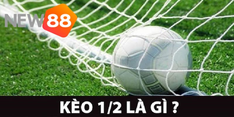 Kèo 1/2 là gì? Bật mí cách bắt kèo chấp nửa trái cực chuẩn 2 Kèo 1/2 là gì?