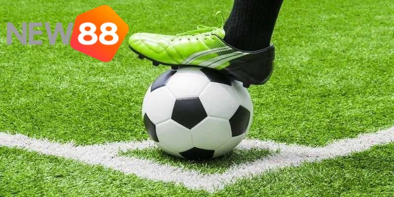 Kèo 1/2 là gì? Bật mí cách bắt kèo chấp nửa trái cực chuẩn 3 Lưu ý khi tham gia chơi kèo 1/2 là gì?