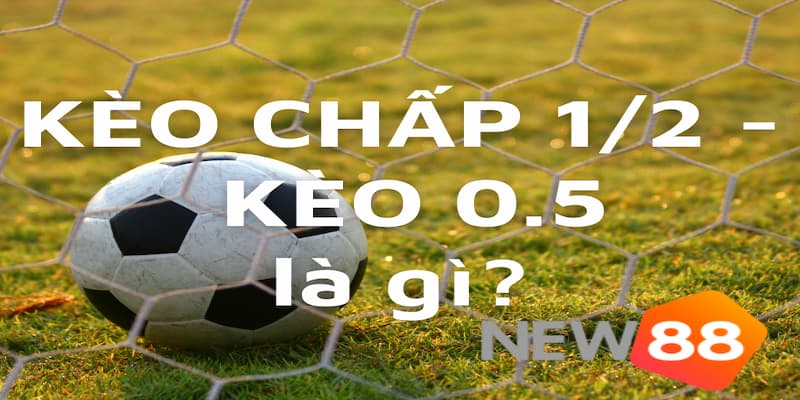 Kèo 1/2 là gì? Bật mí cách bắt kèo chấp nửa trái cực chuẩn 4 Những kinh nghiệm cá cược khi đặt kèo 1/2 là gì?