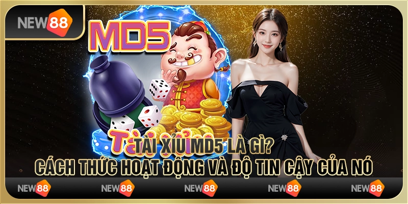 Tài xỉu MD5 là gì? Cách thức hoạt động và độ tin cậy của nó 3 Tài xỉu MD5 là gì? Cách thức hoạt động và độ tin cậy của nó