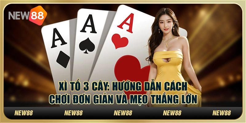 Xì tố 3 cây: Hướng dẫn cách chơi đơn giản và mẹo thắng lớn