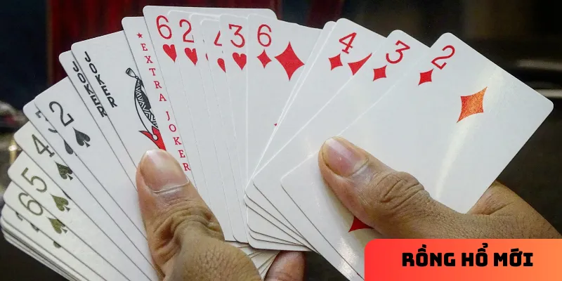 Cách thức chơi Rồng hổ mới chi tiết