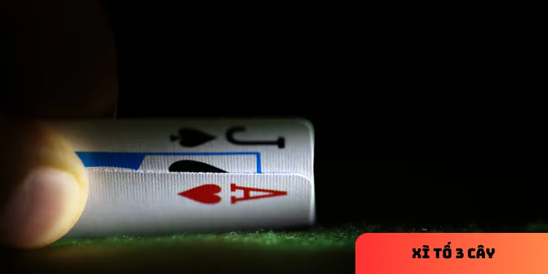Những điều cần biết về xì tố 3 cây