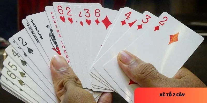 Mẹo chơi xì tố 7 cây hiệu quả