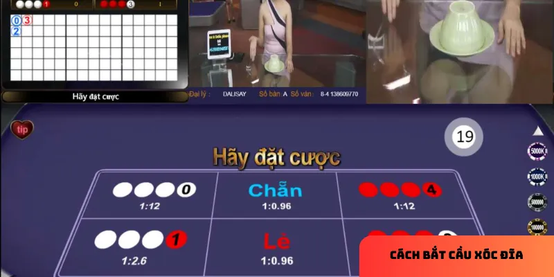 Quản lý vốn và quan sát kỹ lưỡng giúp bạn chơi xóc đĩa an toàn và hiệu quả hơn.