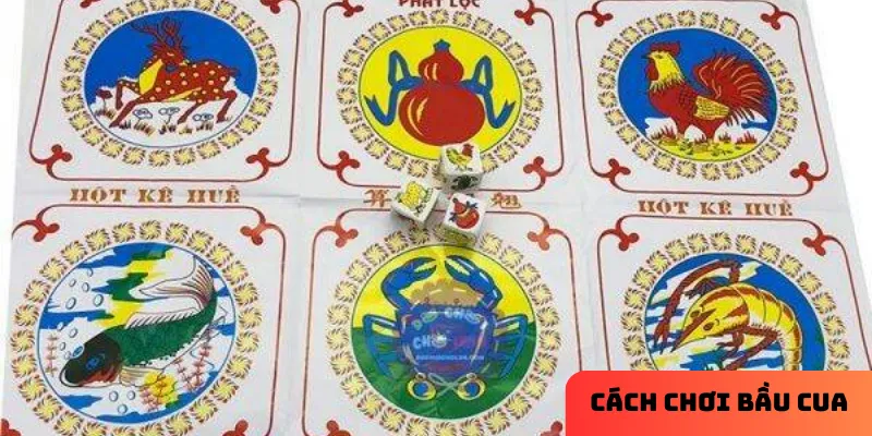 Quan sát kết quả trước đó giúp bạn tìm ra xu hướng.