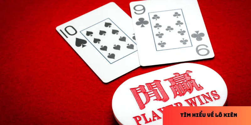 Cách chơi rồng hổ - Hướng dẫn dễ hiểu, thắng nhanh chóng 4 Mẹo chơi rồng hổ hiệu quả