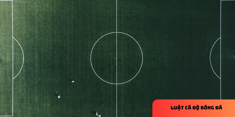 Kèo Tài Xỉu dễ dàng theo dõi.