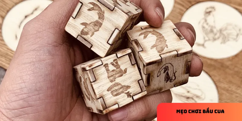 Sơ lược về \mẹo chơi bầu cua