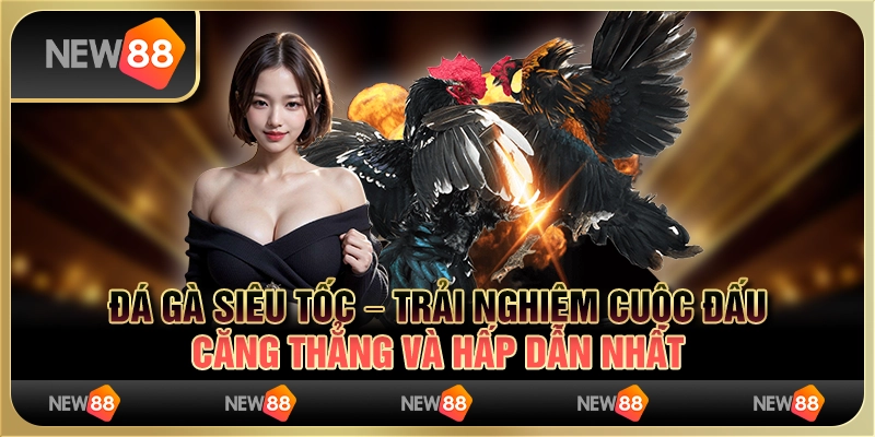 Đá gà siêu tốc – trải nghiệm cuộc đấu căng thẳng và hấp dẫn nhất 6 Đá gà siêu tốc – trải nghiệm cuộc đấu căng thẳng và hấp dẫn nhất
