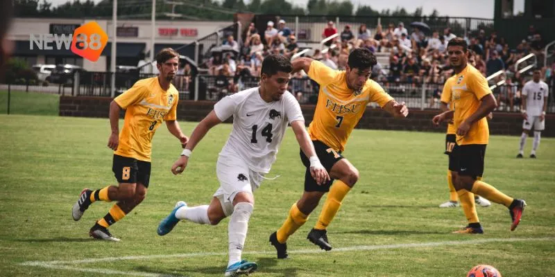 Lịch thi đấu UFC mới nhất - cập nhật thông tin chi tiết từng trận đấu 3 Điểm nhấn trong các sự kiện UFC sắp tới.