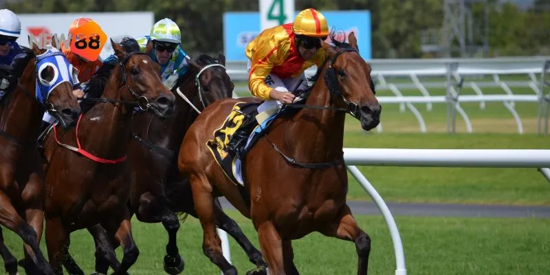 Nội dung này hướng dẫn cách phân tích tỷ lệ kèo và chọn kèo chính xác.