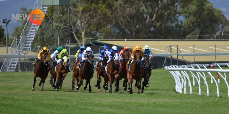 Nội dung này chia sẻ chiến thuật cá cược đua ngựa hiệu quả.