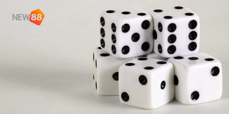 Sicbo xúc xắc – game đổi thưởng đỉnh cao với lối chơi độc đáo 3 Tìm hiểu chi tiết về luật chơi Sicbo và cách tham gia tại New88.
