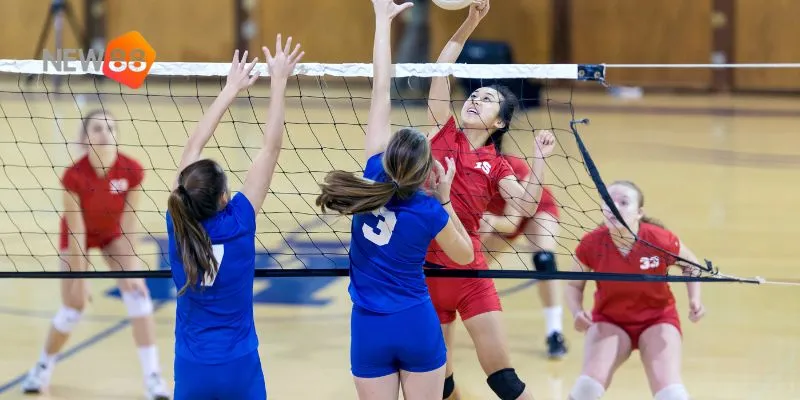 Bóng chuyền nữ – tin tức về các giải đấu và phân tích kèo chính xác 3 Các giải đấu lớn là nơi hội tụ các đội tuyển mạnh nhất.