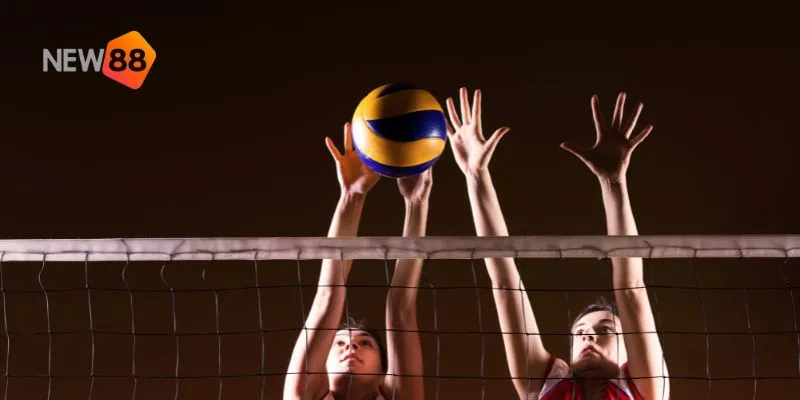 Bóng chuyền nữ – tin tức về các giải đấu và phân tích kèo chính xác 4 New88 hỗ trợ người chơi với các công cụ và ưu đãi hấp dẫn.