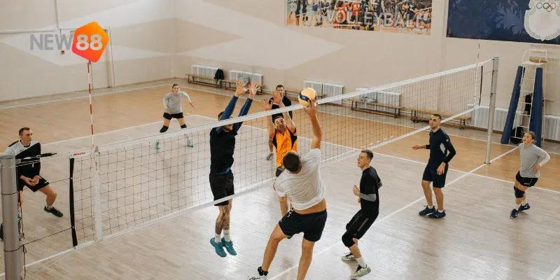 Mẹo đặt kèo bóng chuyền hiệu quả