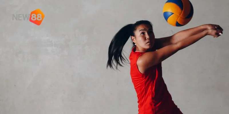 Sơ lược về cược bóng chuyền