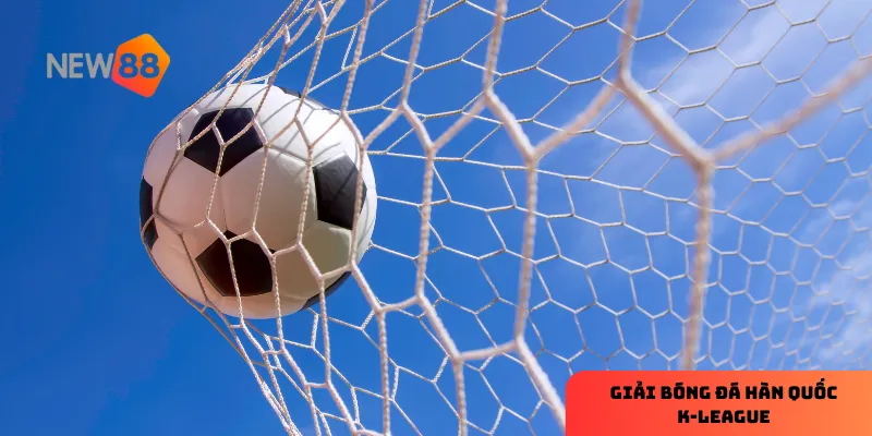 Giải bóng đá Hàn Quốc K-League – tin tức và dự đoán kèo hấp dẫn 3 Cập nhật tỷ lệ kèo tại NEW88 giúp bạn có thêm lợi thế khi tham gia cá cược.