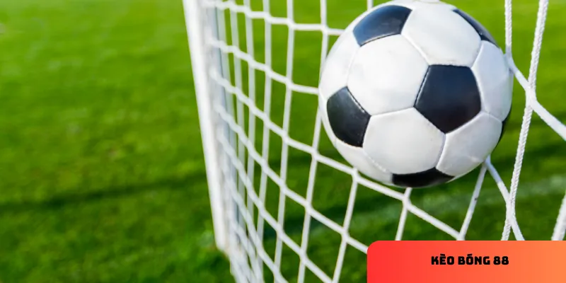Kèo bóng 88 hôm nay: Soi kèo chuẩn xác, tăng cơ hội thắng cao 3 Các loại kèo cơ bản