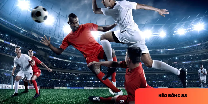 Kèo bóng 88 hôm nay: Soi kèo chuẩn xác, tăng cơ hội thắng cao 2 Khám phá các loại kèo phổ biến