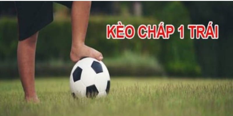 Hướng dẫn đọc tỷ lệ kèo cho tân thủ tại Hi88