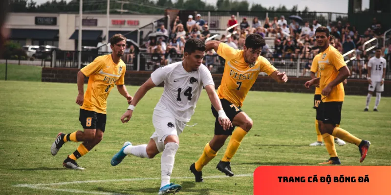Trang cá độ bóng đá uy tín, tỷ lệ chuẩn, hỗ trợ cược an toàn 3 Chú thích: Tỷ lệ cược chuẩn giúp tối ưu cơ hội thắng.