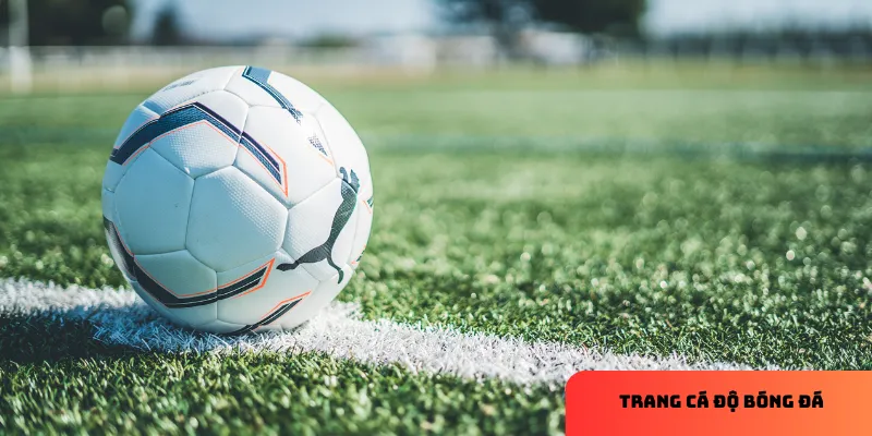 Trang cá độ bóng đá uy tín, tỷ lệ chuẩn, hỗ trợ cược an toàn 4 Chú thích: Quản lý vốn hiệu quả để chơi lâu dài.