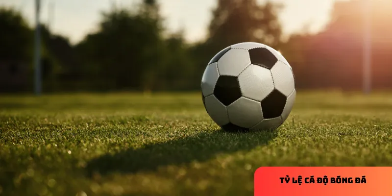 Hiểu cách tính tỷ lệ giúp tối ưu hóa chiến lược cá cược.