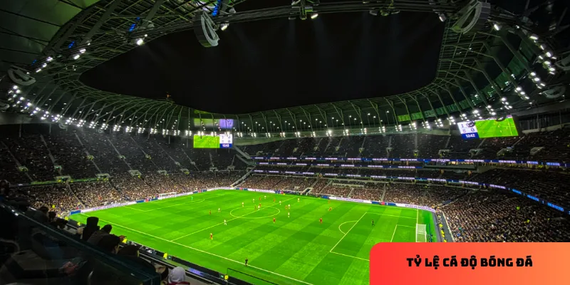 Kèo tài xỉu dựa trên tổng số bàn thắng, không phải kết quả trận đấu.