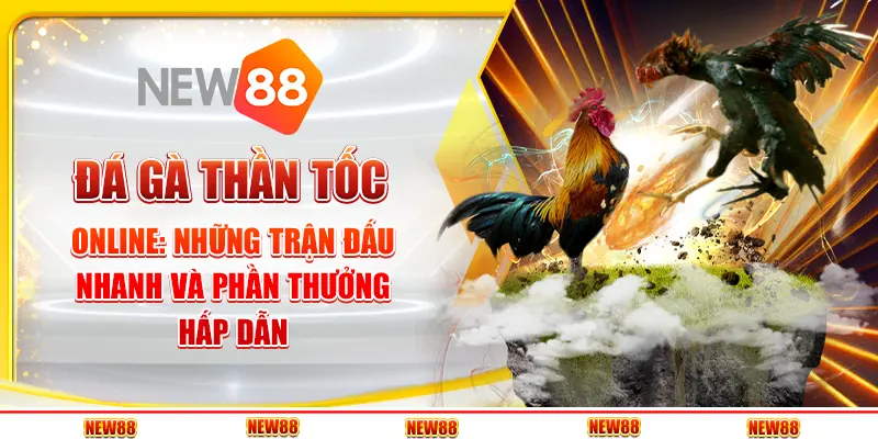 Đá gà thần tốc online: Môn giải trí kịch tính trong thời gian ngắn