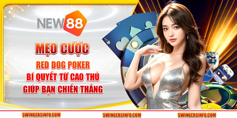 Mẹo cược red dog poker: bí quyết từ cao thủ giúp bạn chiến thắng 1 Mẹo cược red dog poker: bí quyết từ cao thủ giúp bạn chiến thắng
