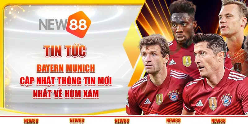 Tin tức Bayern Munich: Cập nhật thông tin mới nhất về Hùm xám