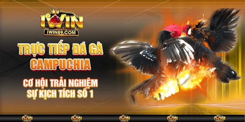 Trực Tiếp Đá Gà Campuchia - Cơ Hội Trải Nghiệm Sự Kịch Tích Số 1