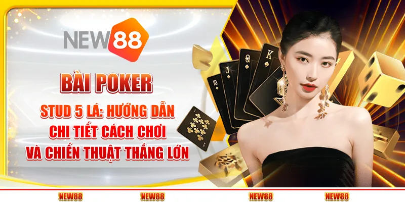 Bài poker stud 5 lá: Hướng dẫn chi tiết cách chơi và chiến thuật thắng lớn
