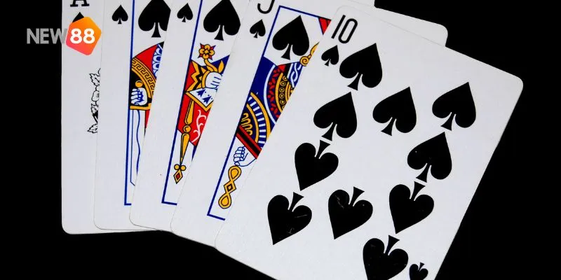 Cách chia bài trong Poker Omaha