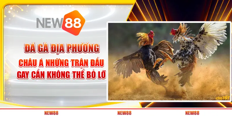 Đá gà địa phương châu á: những trận đấu gay cấn không thể bỏ lỡ