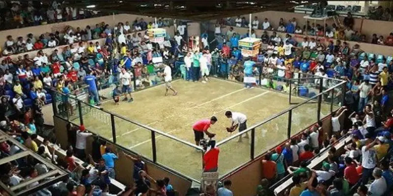 Có đa dạng loại hình chơi chọi gà hấp dẫn