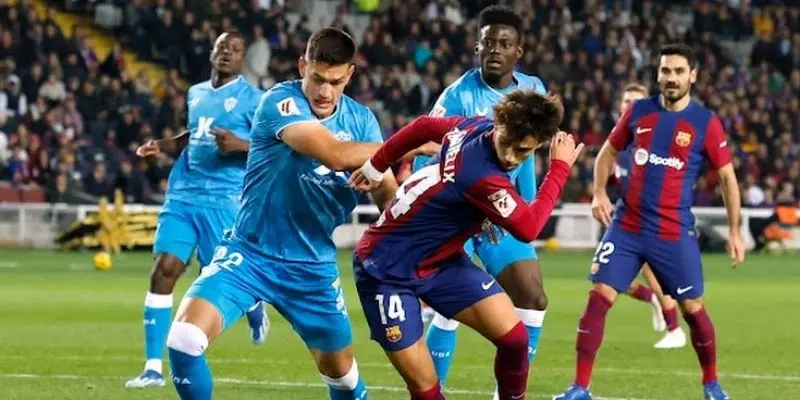 4 loại tỷ lệ cược cơ bản cần biết khi tham gia