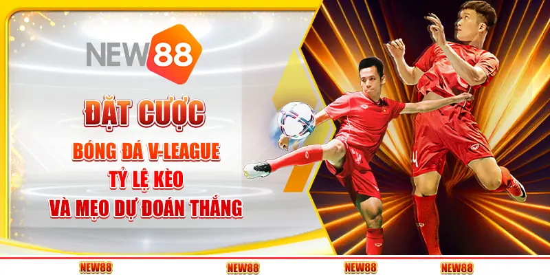 Đặt cược bóng đá V-League: tỷ lệ kèo và mẹo dự đoán thắng