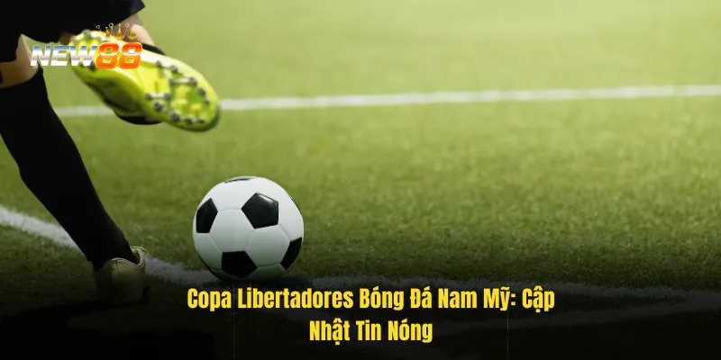 Copa Libertadores bóng đá Nam Mỹ