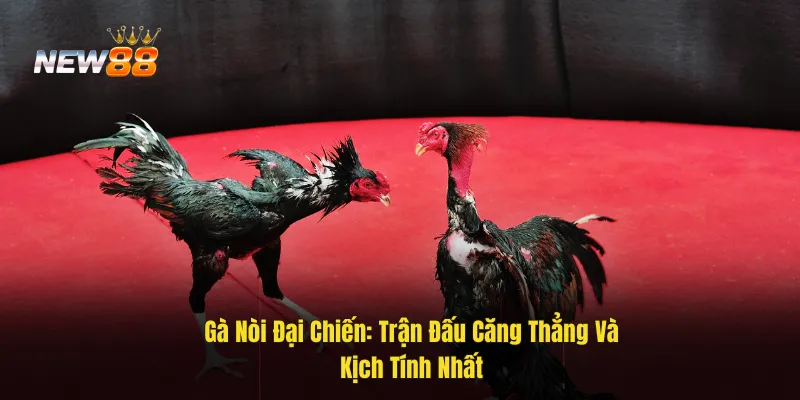 Gà Nòi Đại Chiến: Chiến Lược Và Mẹo Thắng Lớn Trong Mỗi Đấu Trường