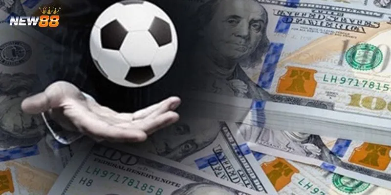 Cá cược vòng loại Euro tại New88 - Kèo hấp dẫn không thể bỏ lỡ 3 Khám phá các hình thức cá cược vòng loại Euro