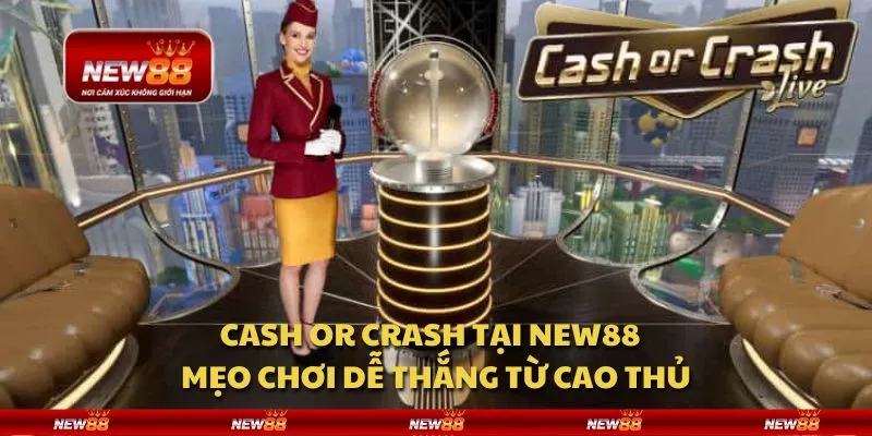 Cash or Crash tại New88 - Mẹo chơi dễ thắng từ cao thủ 10 Cash or Crash tại New88 - Mẹo chơi dễ thắng từ cao thủ